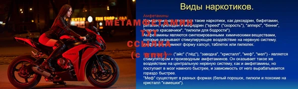метадон Гусев