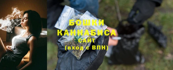 метадон Гусев