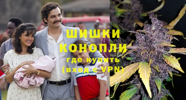 метадон Гусев