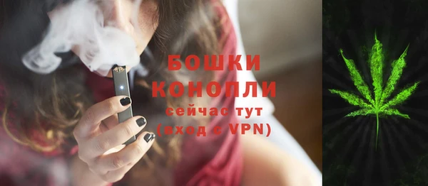 дурь Гусь-Хрустальный