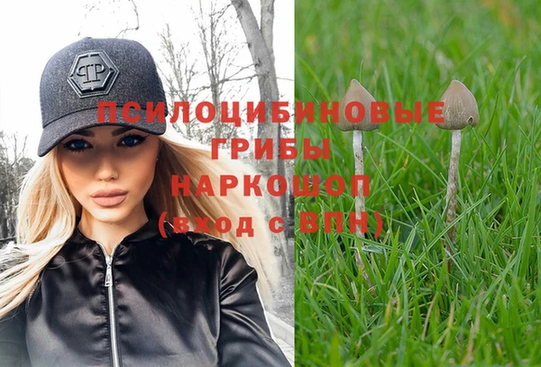 МДПВ Гусиноозёрск