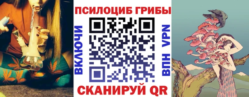 Купить закладки  Белоозёрский  Псилоцибиновые грибы GOLDEN TEACHER 